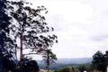 Property photo of 49 Cornfield Parade Fishermans Paradise NSW 2539