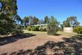 Property photo of 246 Gandini Lane Lima East VIC 3673