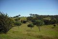 Property photo of 348 Old Goomboorian Road Veteran QLD 4570