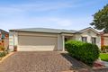 Property photo of 6 Ayers Court Morphettville SA 5043