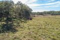 Property photo of 37 Ivan Johnsons Road Oakenden QLD 4741