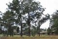 Property photo of 446 Wilberforce Road Wilberforce NSW 2756