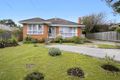 Property photo of 19 Outlook Drive Nunawading VIC 3131