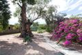 Property photo of 62 Larapinta Drive Araluen NT 0870
