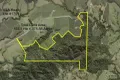 Property photo of 713 Utchee Creek Road Utchee Creek QLD 4871