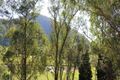 Property photo of 48 Singleton Road Wisemans Ferry NSW 2775