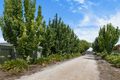 Property photo of 45 Henry Street Auburn SA 5451