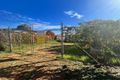 Property photo of 28 Atkinson Crescent Kalbarri WA 6536