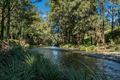 Property photo of 1099 Allyn River Road Allynbrook NSW 2311