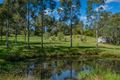 Property photo of 1099 Allyn River Road Allynbrook NSW 2311