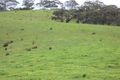 Property photo of LOT 6 Paris Creek Road Paris Creek SA 5201