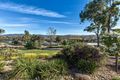 Property photo of 13 Corella Way Wodonga VIC 3690