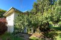 Property photo of 14 Coomber Street Svensson Heights QLD 4670