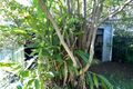 Property photo of 14 Coomber Street Svensson Heights QLD 4670