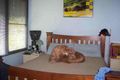 Property photo of 77 Chestnut Road Doveton VIC 3177