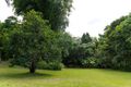 Property photo of 10 Warril Drive Kuranda QLD 4881