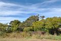 Property photo of 43 Roskell Road Callala Beach NSW 2540