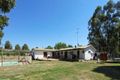 Property photo of 54 Gaul Avenue Darnum VIC 3822