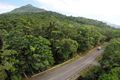 Property photo of 2066 Cape Tribulation Road Diwan QLD 4873