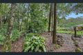 Property photo of 30 Bushbird Court Diddillibah QLD 4559