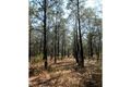 Property photo of 40 Forest Drive Humpty Doo NT 0836