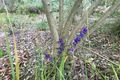 Property photo of 30 Bramwell Loop Chidlow WA 6556