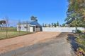 Property photo of 378 Cocklin Avenue Red Cliffs VIC 3496