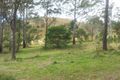Property photo of LOT 21 Forest Drive Hampton QLD 4352