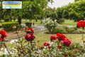 Property photo of 18 Northcott Avenue Cootamundra NSW 2590