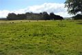 Property photo of 36 East Maurice Road Ringarooma TAS 7263