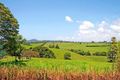 Property photo of 394 Cudgen Road Cudgen NSW 2487