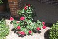 Property photo of 3 Torrisi Terrace Stanthorpe QLD 4380