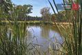 Property photo of 39 The Grove Thurgoona NSW 2640
