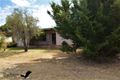 Property photo of 20 Clarke Street Stanthorpe QLD 4380