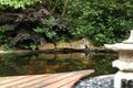 Property photo of 108 O'Keeffes Lane Jaspers Brush NSW 2535