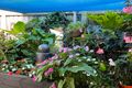 Property photo of 24 Albatross Road Kalimna VIC 3909