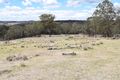 Property photo of 13419 Kempsey Road Wollomombi NSW 2350
