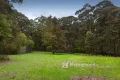 Property photo of 171 Stewart Road Emerald VIC 3782