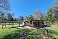 Property photo of 910 Euluma Creek Road Julatten QLD 4871