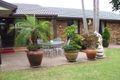Property photo of 68 Brougham Street Emu Plains NSW 2750