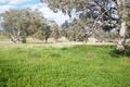 Property photo of 75 Bells Gate Road Quirindi NSW 2343