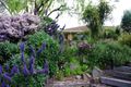 Property photo of 30 Mt Gambier Road Casterton VIC 3311