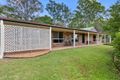 Property photo of 24 Achernar Court Thornlands QLD 4164