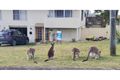 Property photo of 67 Safety Beach Drive Safety Beach NSW 2456