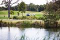 Property photo of 13 Coast Banksia Drive Bonbeach VIC 3196