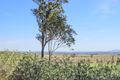 Property photo of 124 Range Road Whittingham NSW 2330