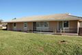 Property photo of 24 Camplin Street Wudinna SA 5652