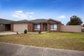 Property photo of 12 McKeown Crescent Roxburgh Park VIC 3064