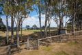 Property photo of 13 Corridgeree Road Tarraganda NSW 2550