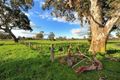Property photo of 13 Mango Crescent Mernda VIC 3754